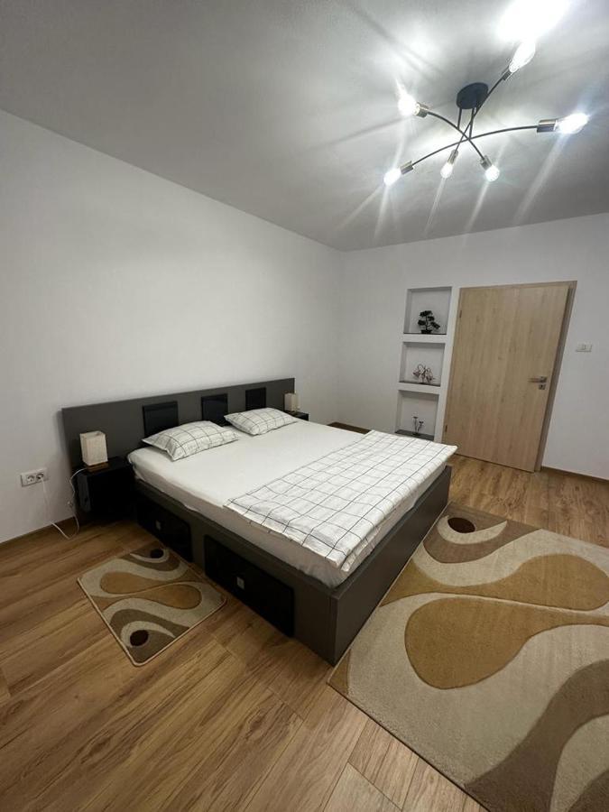 Emanuela Apartments Pecica Exterior photo